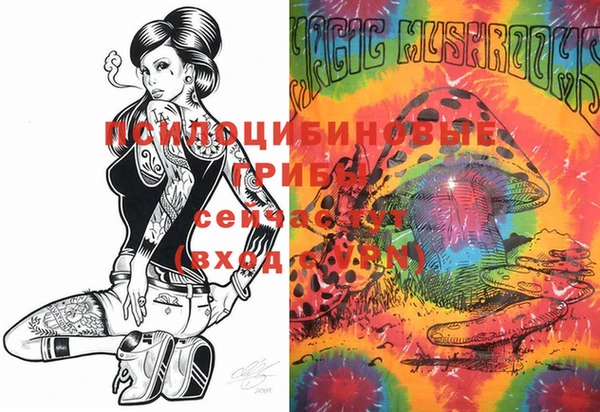 spice Новодвинск