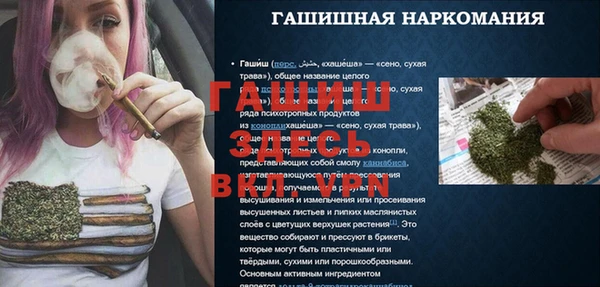 spice Новодвинск