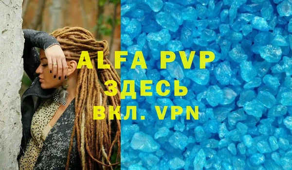 spice Новодвинск
