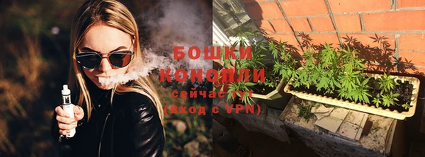 spice Новодвинск