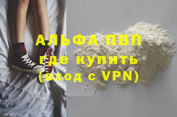 spice Новодвинск