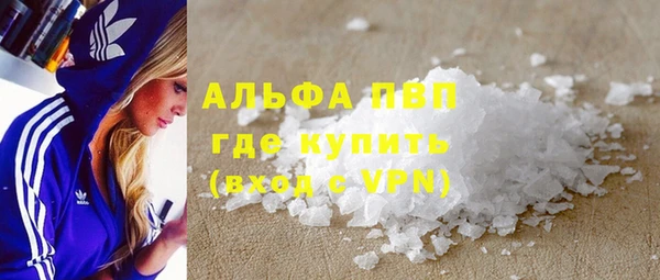 spice Новодвинск