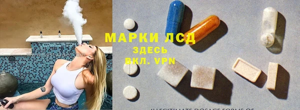 spice Новодвинск