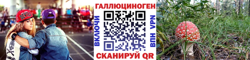 Псилоцибиновые грибы Magic Shrooms  купить закладку  Кисловодск 