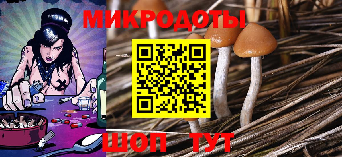 Кисловодск  Псилоцибиновые грибы MAGIC MUSHROOMS  Псилоцибиновые грибы Magic Shrooms  Вход с VPN 