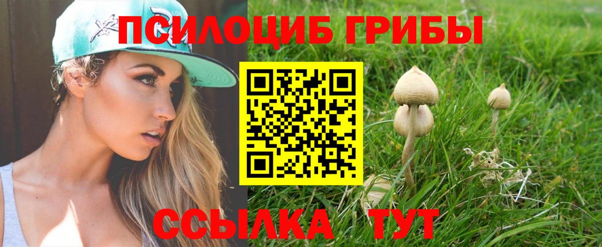 Галлюциногенные грибы Magic Shrooms Кисловодск